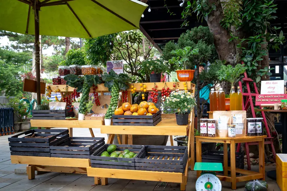Explore Coquitlam with Peace of Mind in Coquitlam